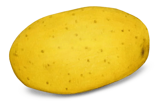 Potatoes