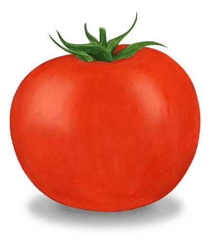 Tomatoes