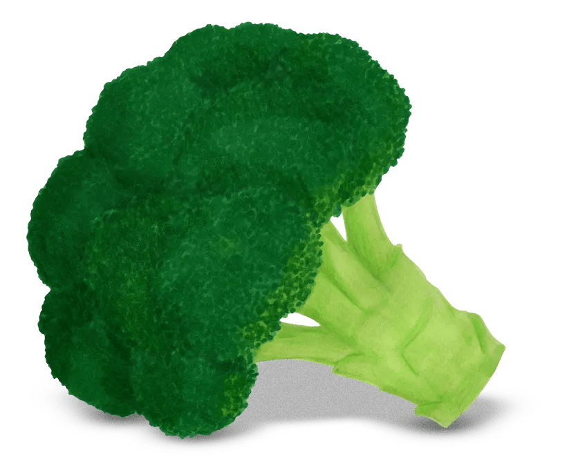 Broccoli