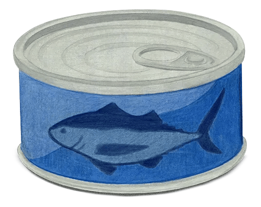 Canned Tuna