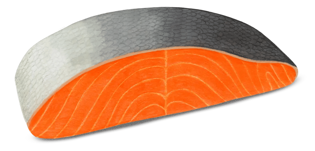 Salmon